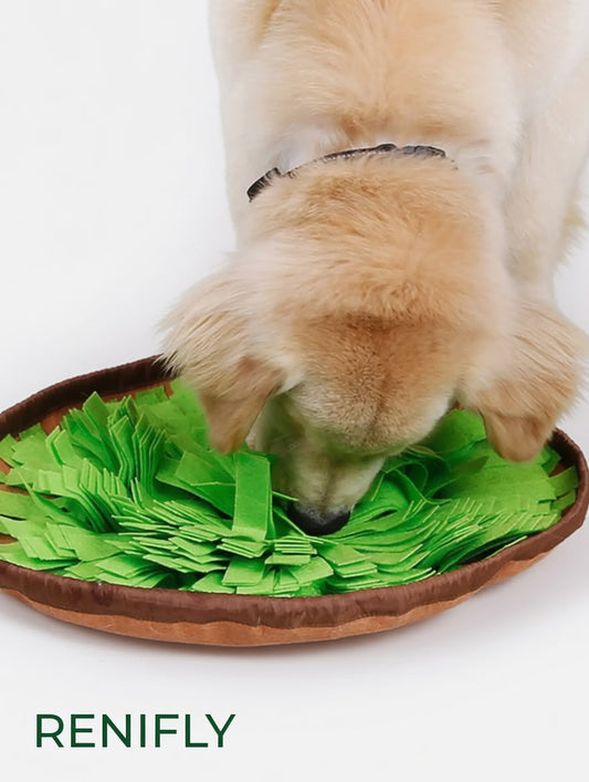 Tapis de fouille nosework Renifly pour chien