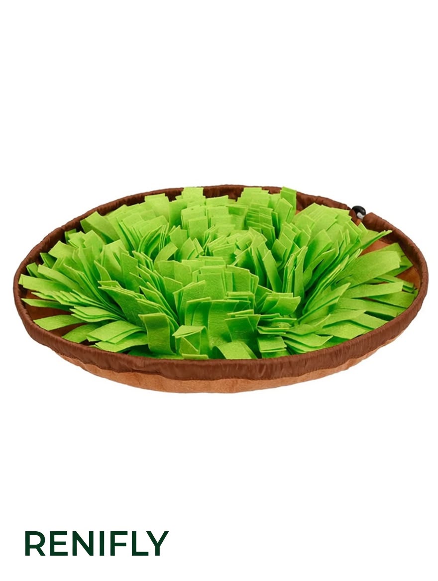 Tapis de fouille Renifly avec croquettes cachées