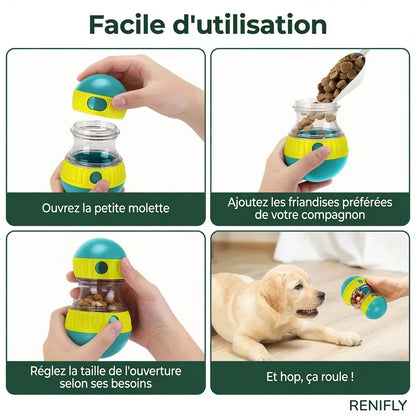 Chien jouant avec le distributeur de friandises Renifly